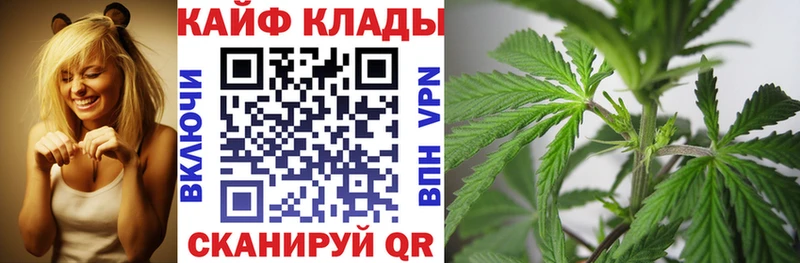 Хочу наркоту Александров ГАШ  Alpha-PVP  МЕФ  МАРИХУАНА  MDMA  Cocaine  Псилоцибиновые грибы 