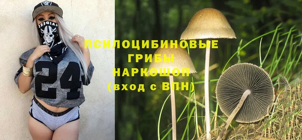 кристаллы Абаза